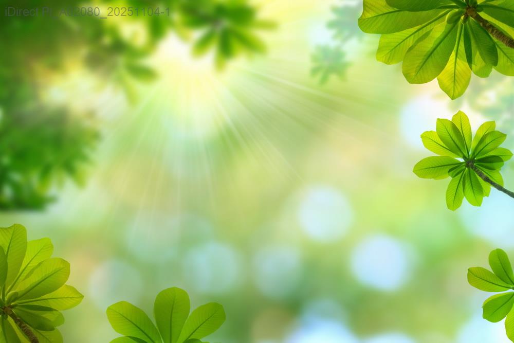迎向未來！台灣永續生活法，5步驟輕鬆實現您的綠色夢想